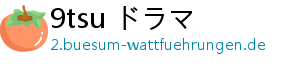 9tsu ドラマ