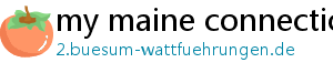 my maine connection