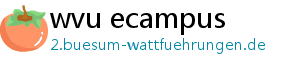 wvu ecampus