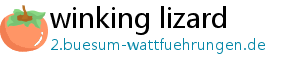 winking lizard